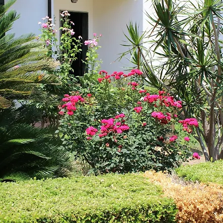 Bed & Breakfast Elena Tropea 2*